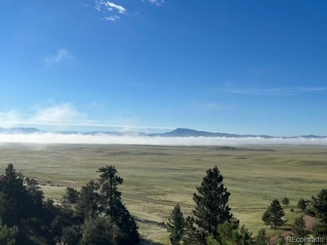 135 Bandana Road Hartsel, CO 80449 - Photo 6 of 28