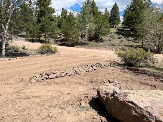 135 Bandana Road Hartsel, CO 80449 - Photo 10 of 28