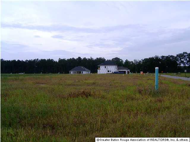 Lot 103 Rustic Rose Drive Baton Rouge, LA 70818 - Photo 3 of 4