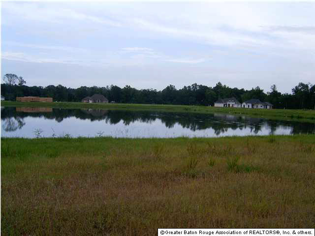 Lot 103 Rustic Rose Drive Baton Rouge, LA 70818 - Photo 4 of 4