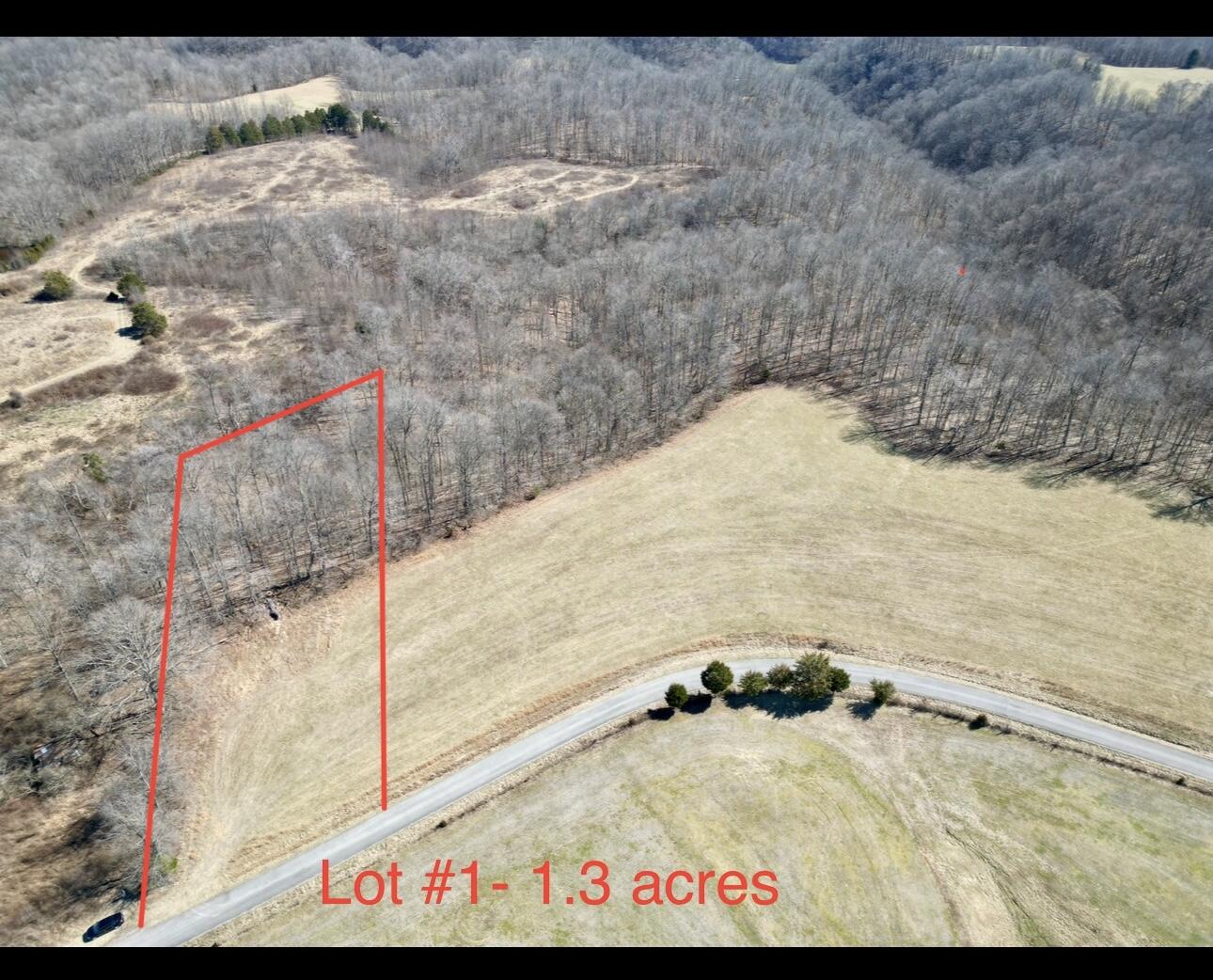 Lot 1 Parks Ridge Road Russell Springs, KY 42642 - Photo 2 of 20 IMG_1856