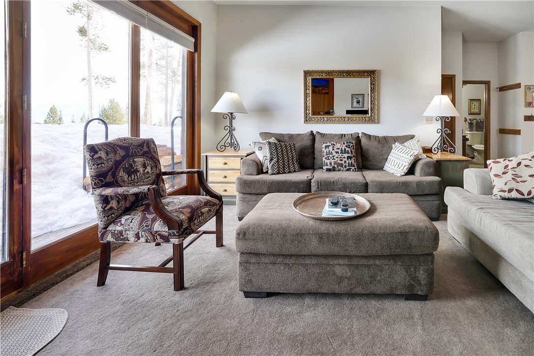 89310 Ryan Gulch Road, Unit 103CC Silverthorne, CO 80498 - Photo 4 of 31 Gallery Image 4