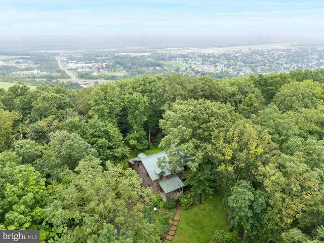 a view of a garden with trees