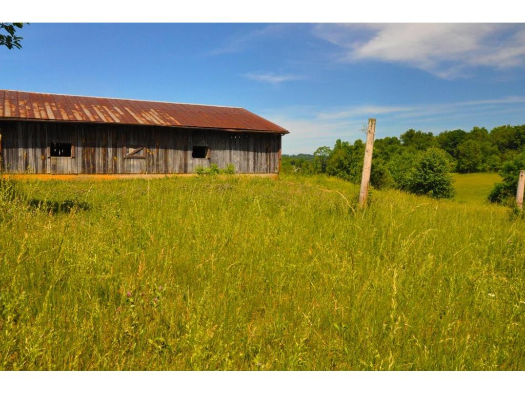 325 Poplar Grove Road Kingsport, TN 37664 - Photo 2 of 19 could have my horses and