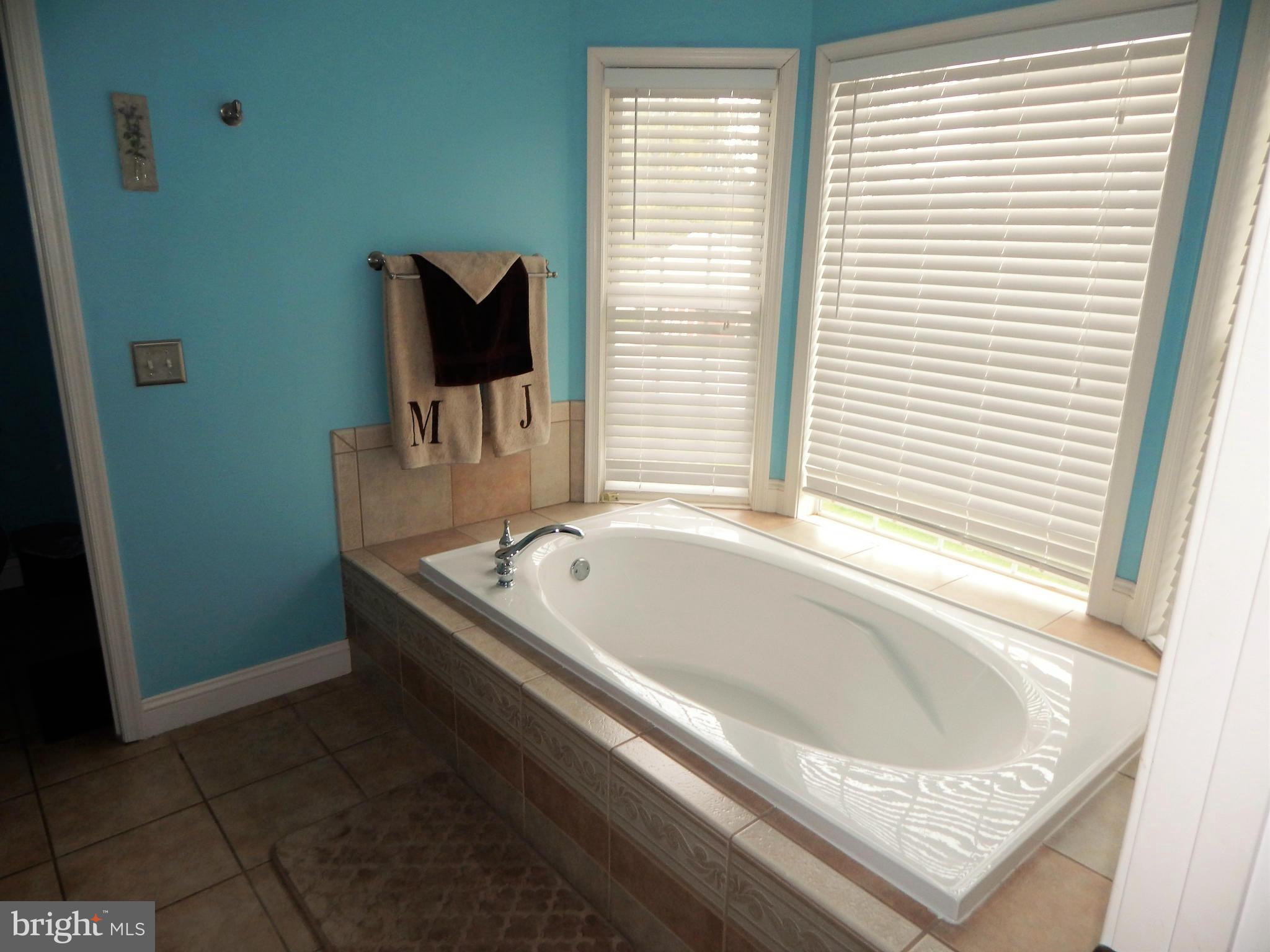 736 Seneca Park Road Middle River, MD 21220 - Photo 18 of 29 Bath (Master)