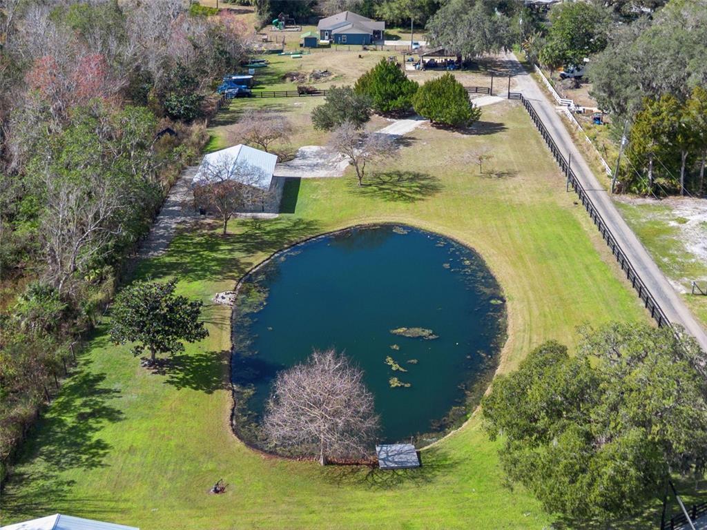 323 McLain Lane Geneva, FL 32732 - Photo 67 of 70 a view of a swimming pool with a yard and plants