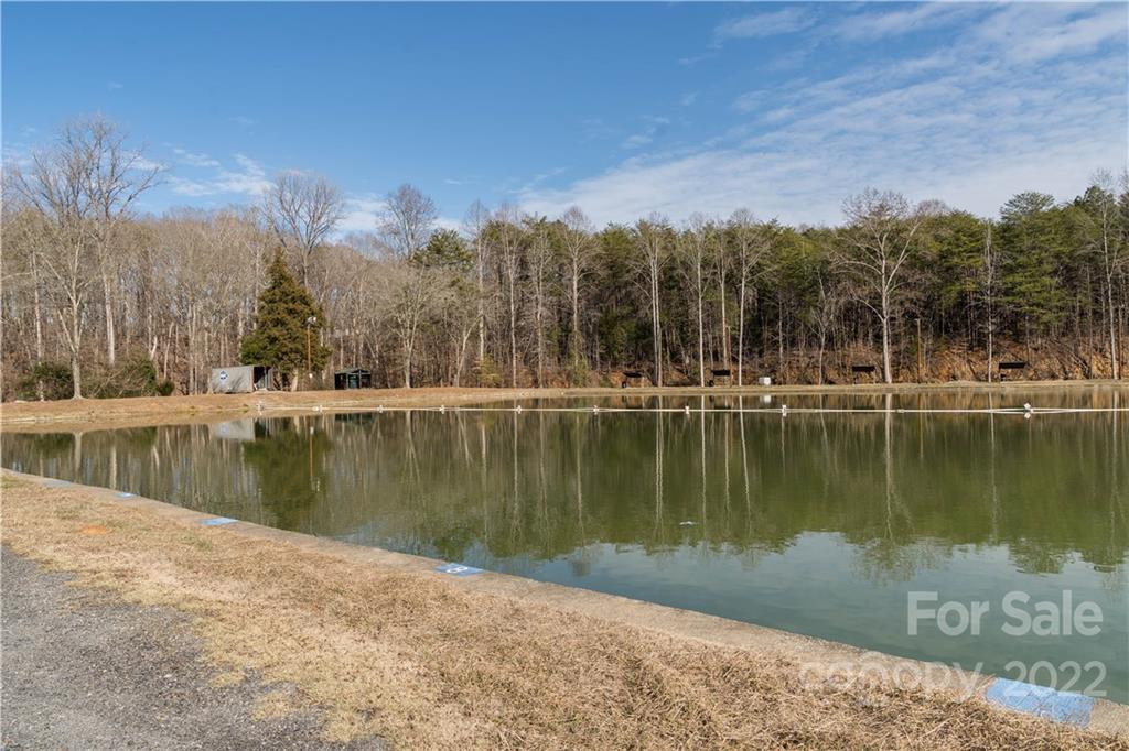 124 Hughey Lake Road Blacksburg, SC 29702 - Photo 8 of 30 Gallery Image 8