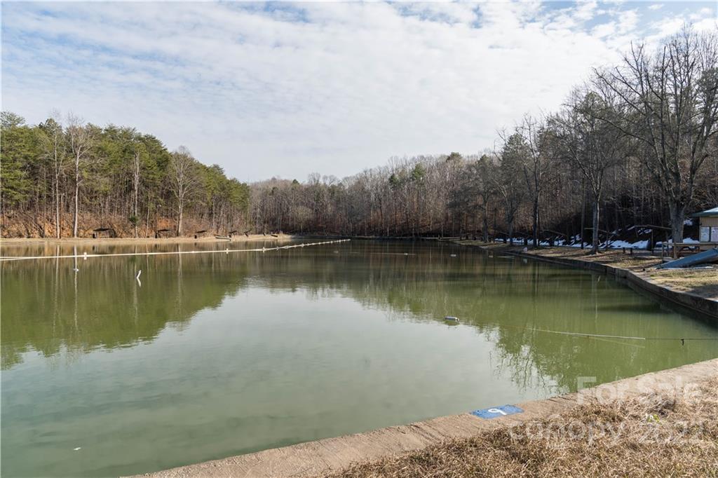 124 Hughey Lake Road Blacksburg, SC 29702 - Photo 9 of 30 Gallery Image 9