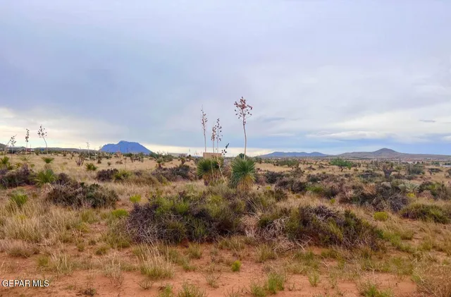 $20,000 | Tbd Tbd Tbd, Sierra Blanca, TX 79851