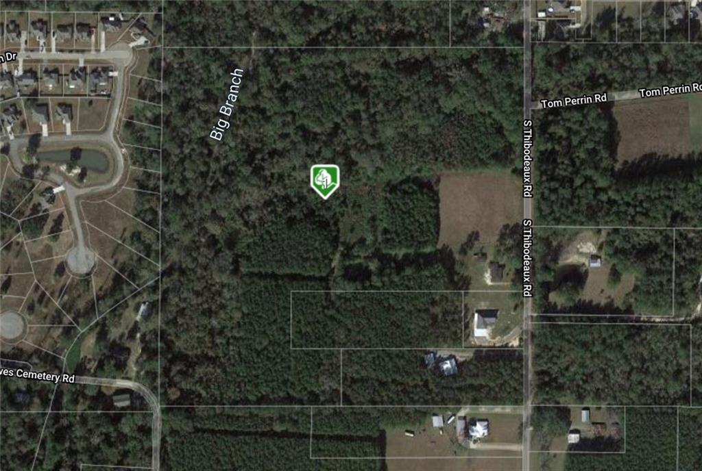 0 South Thibodeaux Road Ponchatoula, LA 70454 - Photo 1 of 1