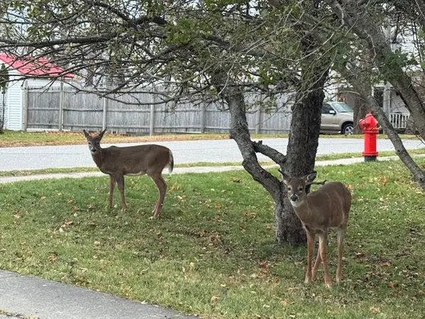 $260,000 | 14 Water Street, Eastport, ME 04631