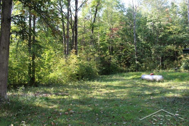 322 South Castor Road Shepherd, MI 48883 - Photo 26 of 34