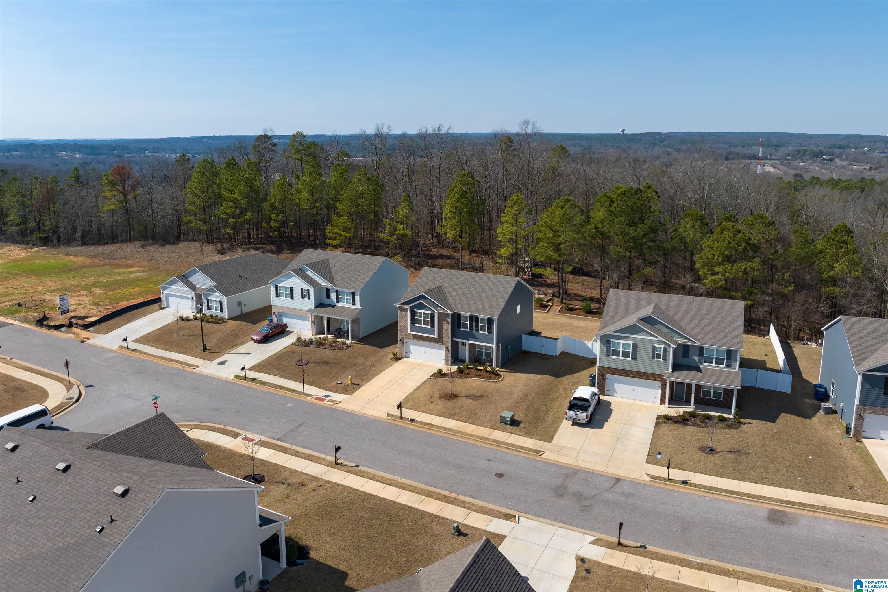 1040 Gadwall Drive Alabaster, AL 35007 - Photo 32 of 39