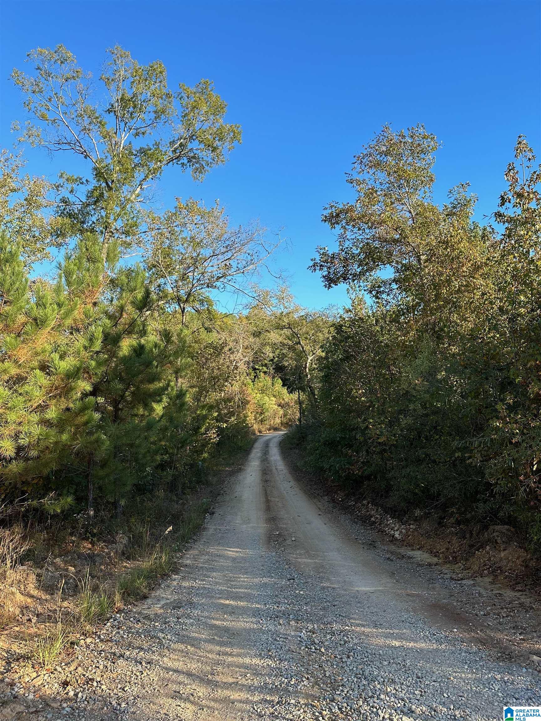 0 Reed Creek Drive Shelby, AL 35143 - Photo 2 of 15