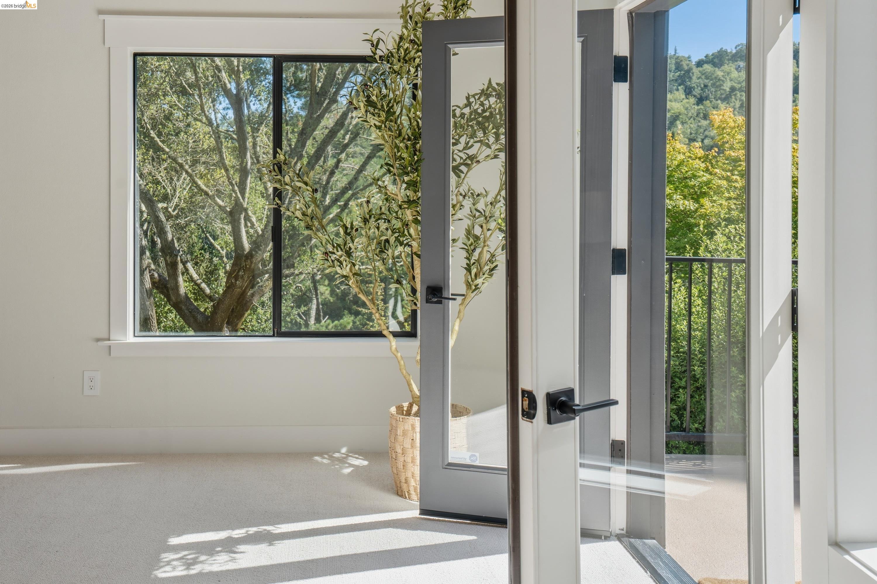 4120 Happy Valley Road Lafayette, CA 94549 - Photo 29 of 48 Light-filled room featuring plush carpet flooring, a large window with black trim, and a glass-paneled door opening to a balcony with black railings