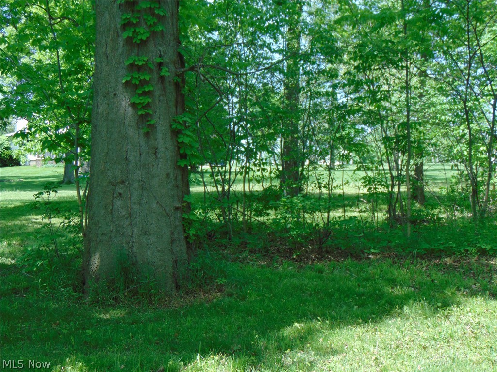 V/l (a) V/l (a) Middle Ridge Road Amherst, OH 44001 - Photo 3 of 8
