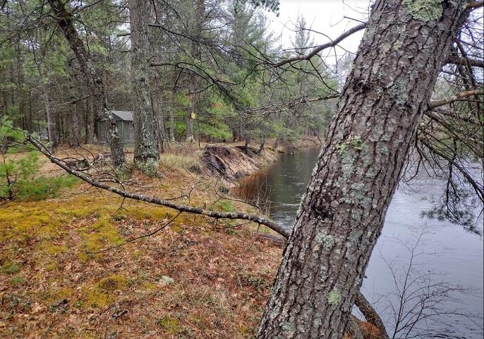 20-acres 20-acres Mckinley Road Marion, MI 49665 - Photo 11 of 48