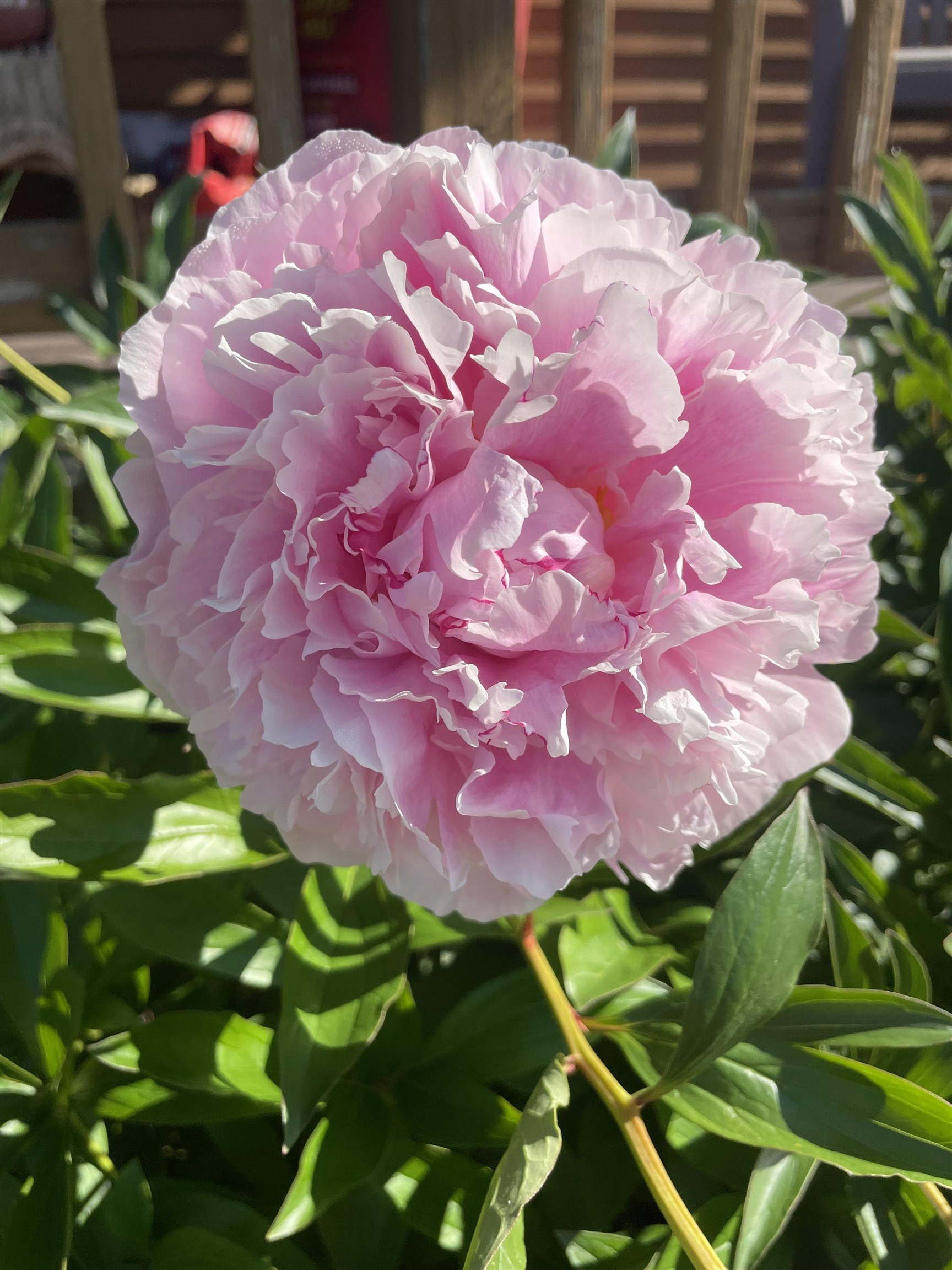 10690 Vermont Rte 111 Morgan, VT 05829 - Photo 40 of 57