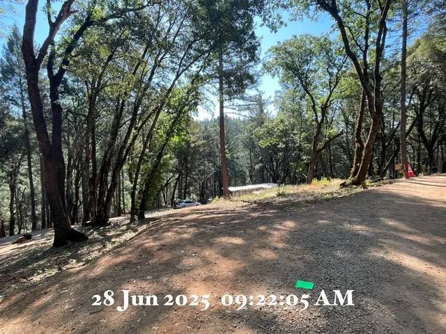 a view of outdoor space with trees