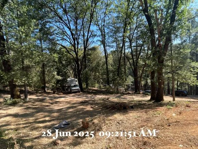 a view of road with trees