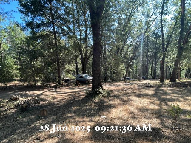 0 Carpenter Road Colfax, CA 95713 - Photo 13 of 15