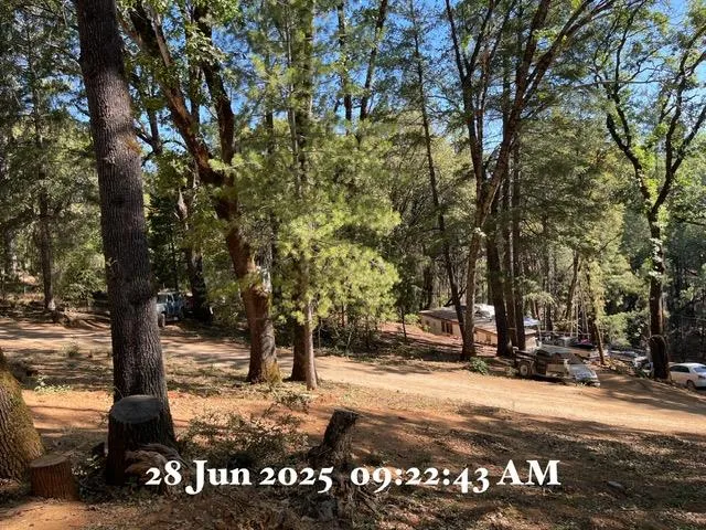 a view of a road with trees