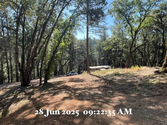 a view of outdoor space with trees