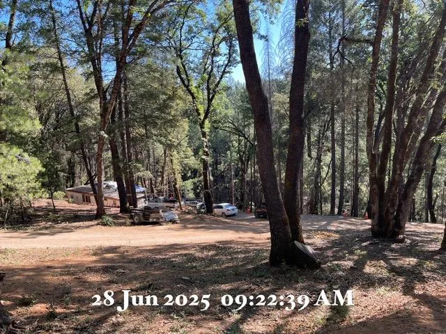 a view of outdoor space with trees