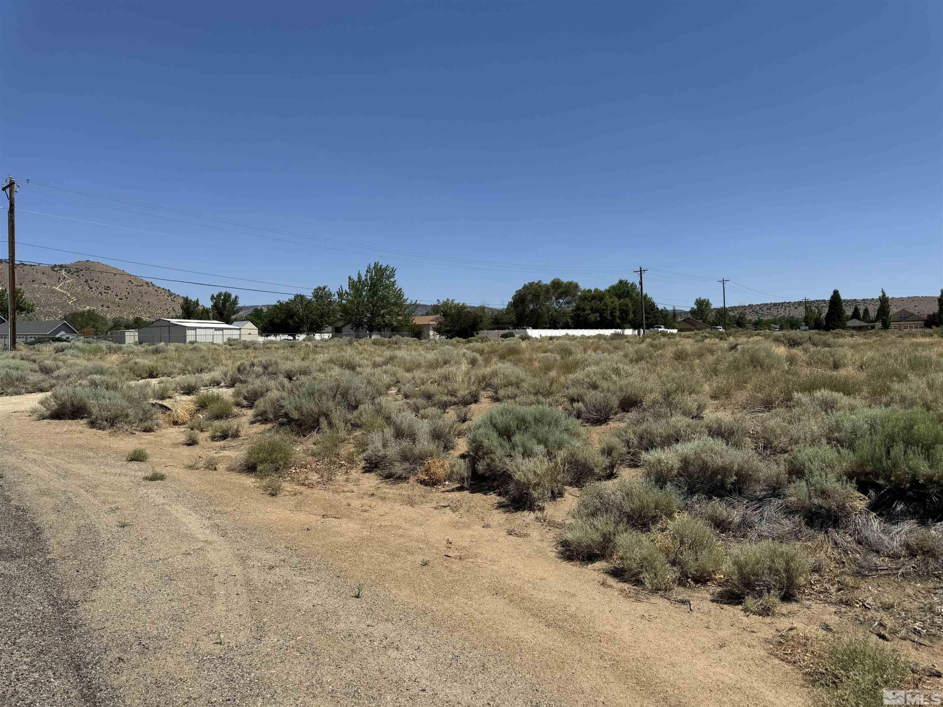 2801 Squires Street Minden, NV 89423 - Photo 5 of 5 a view of a dry yard with mountains in the background