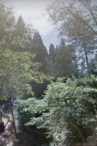 a view of a lake with large trees