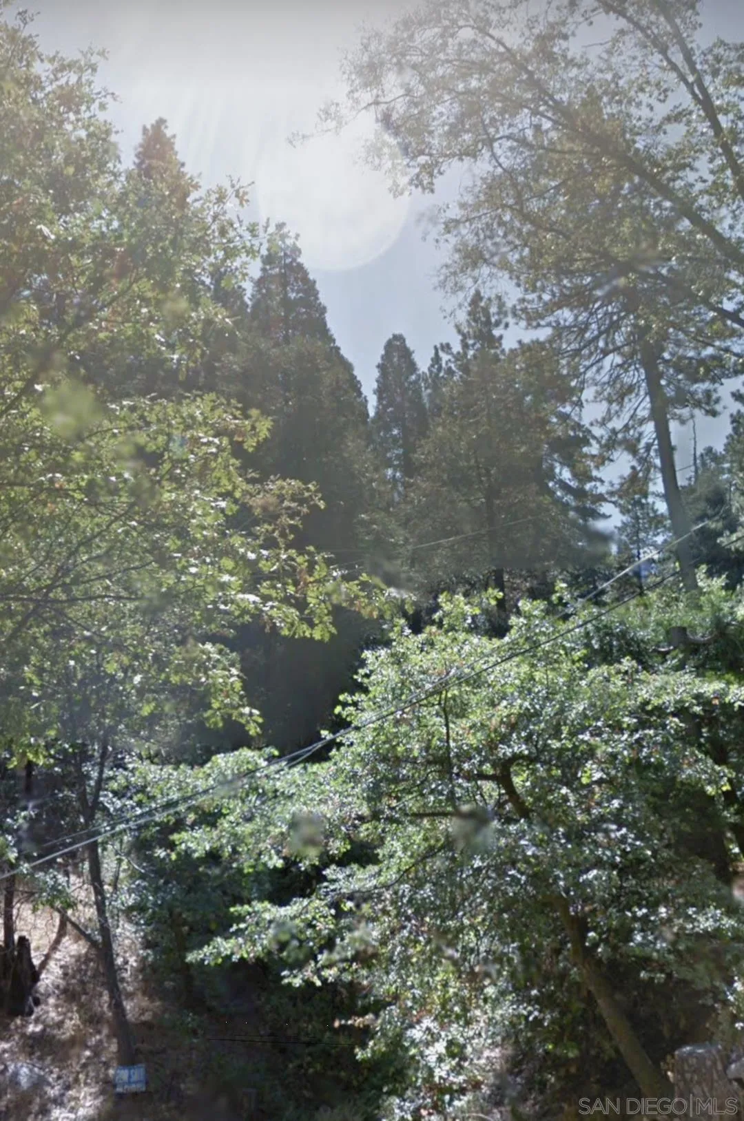0 Forest Drive, Unit 13 Cedarpines Park, CA 92322 - Photo 5 of 8 a view of a lake with large trees
