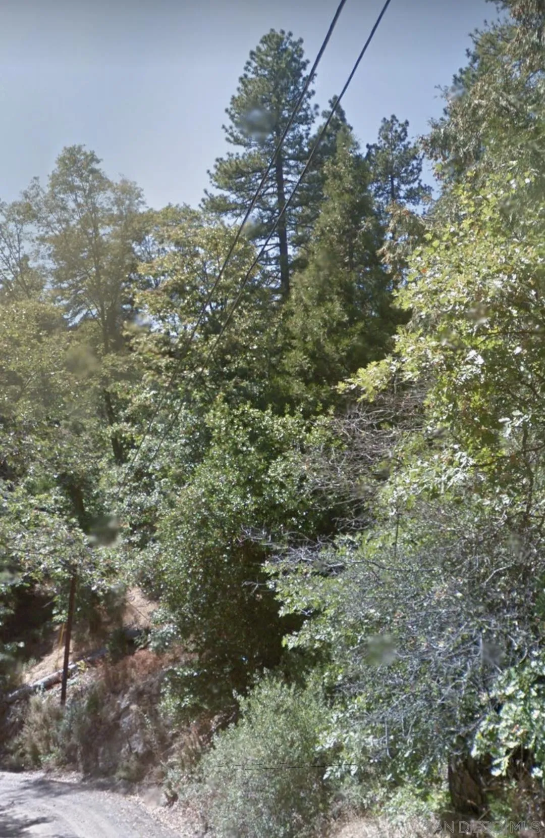 0 Forest Drive, Unit 13 Cedarpines Park, CA 92322 - Photo 6 of 8 a view of a forest with a tree