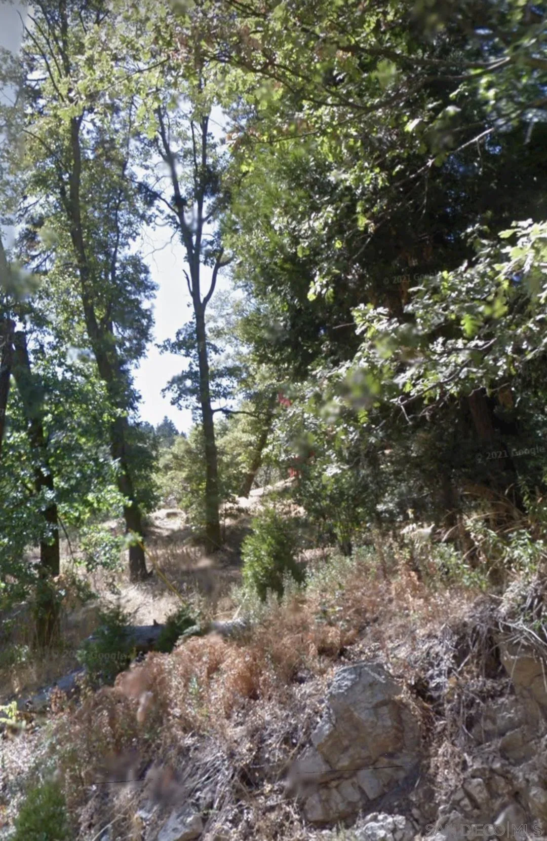 0 Forest Drive, Unit 13 Cedarpines Park, CA 92322 - Photo 7 of 8 a backyard of a house with lots of green space