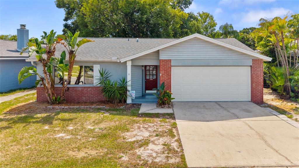 2334 Citrus Hill Road Palm Harbor, FL 34683 - Photo 29 of 30