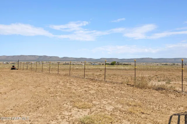 a view of a street with a large trees