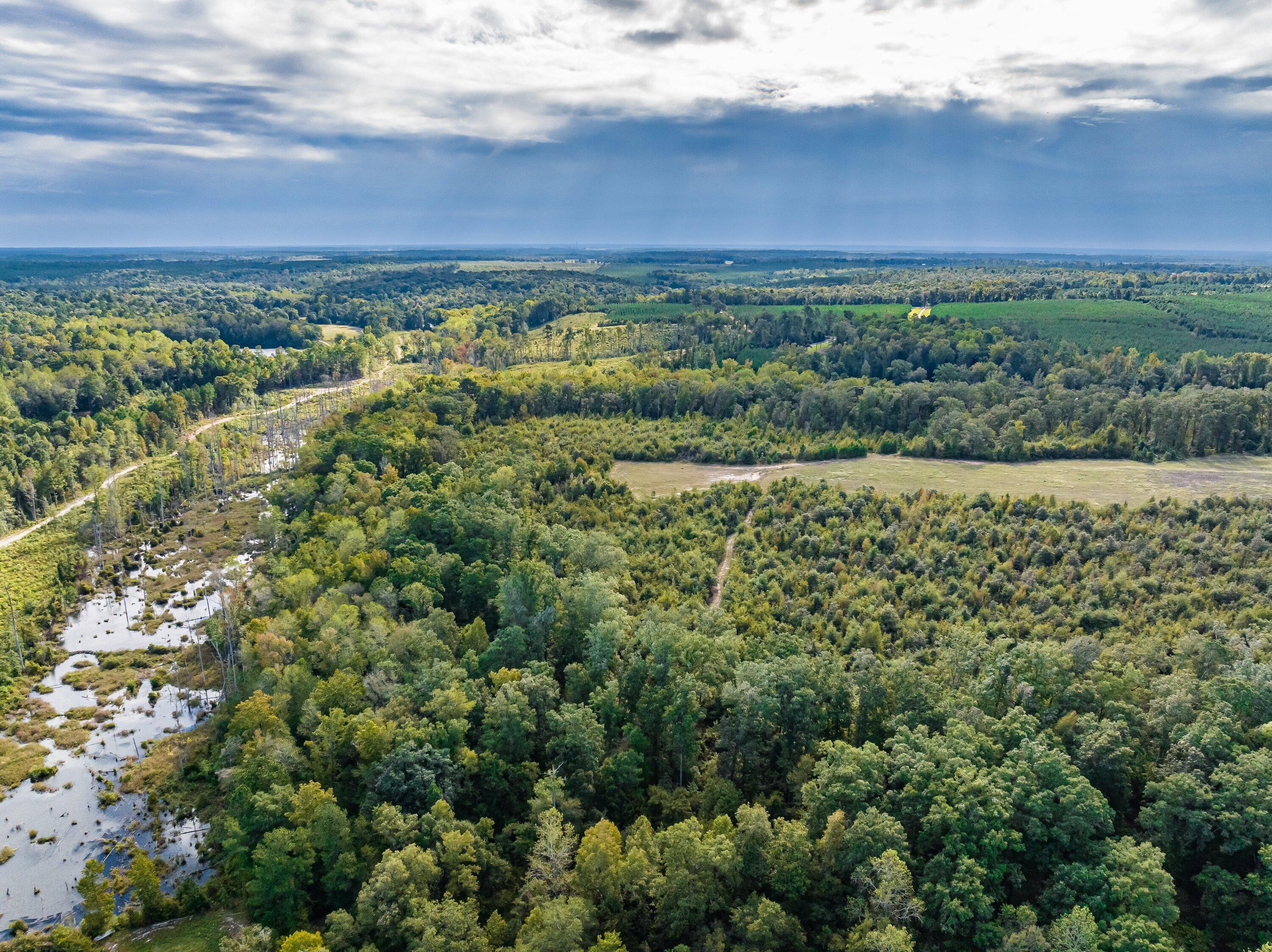 3275 Hadden Pond Road Avera, GA 30803 - Photo 61 of 69 DJI_0230-HDR