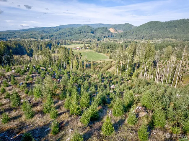 $165,000 | 2 South A S Valley Road, Naselle, WA 98638