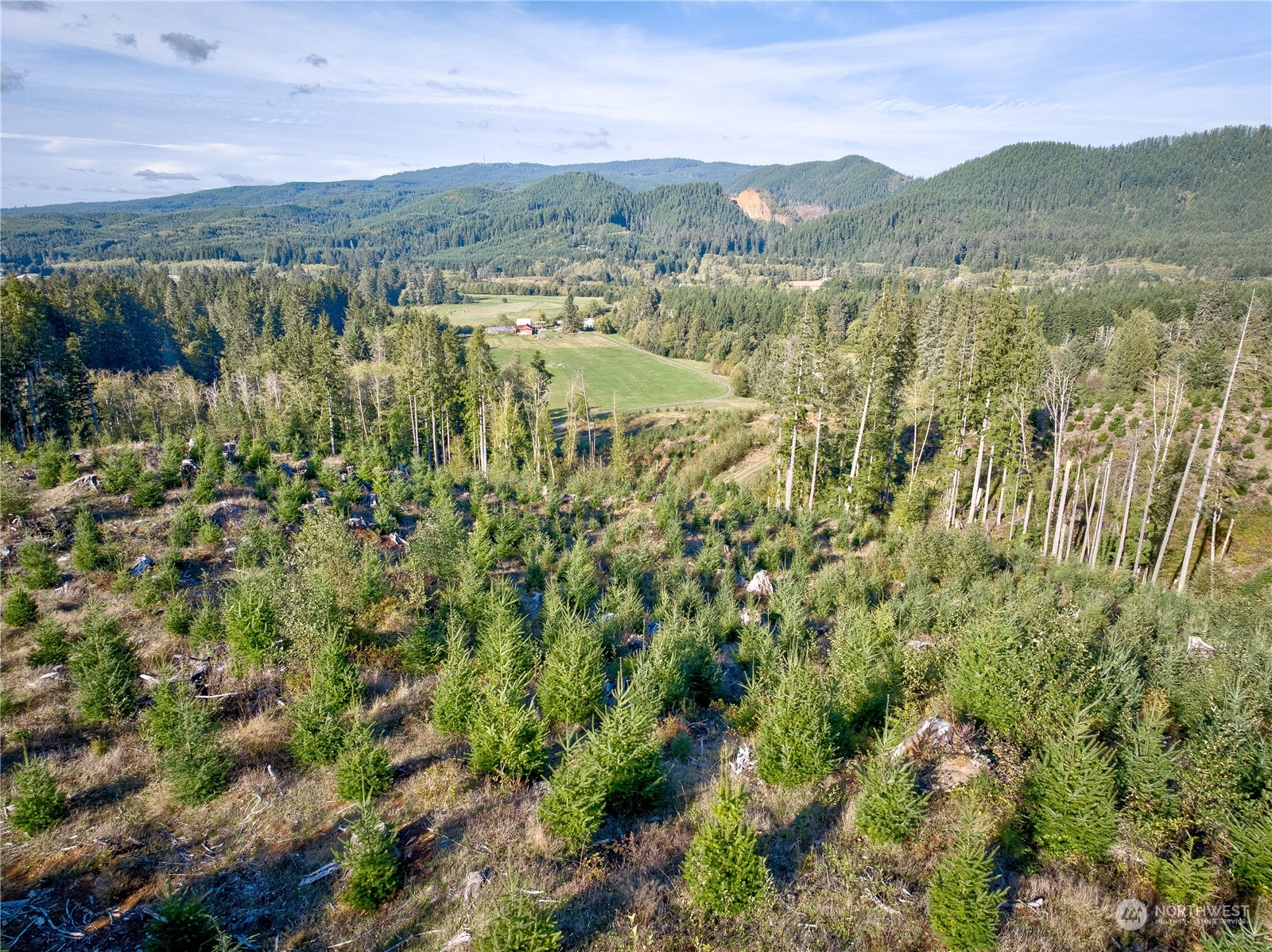 2 South A S Valley Road Naselle, WA 98638 - Photo 19 of 20
