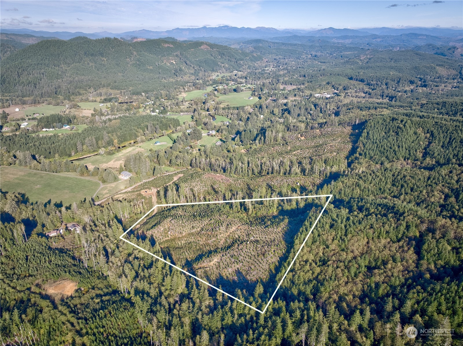 2 South A S Valley Road Naselle, WA 98638 - Photo 10 of 20