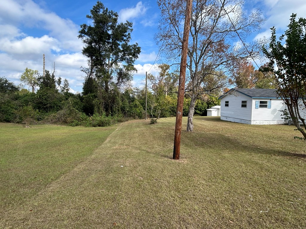 2116 North Co Road Gordon, AL 36343 - Photo 35 of 45
