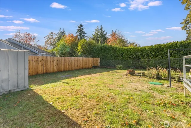 a view of a backyard