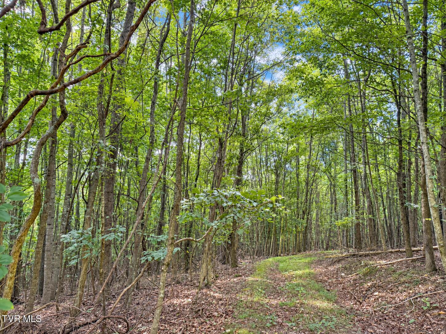 1859 Luray Road Gate City, VA 24251 - Photo 19 of 29 ChatGPT Image Sep 8, 2026, 11_09_01 AM (