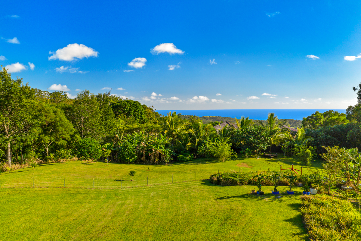 a view of yard with swimming pool and green space