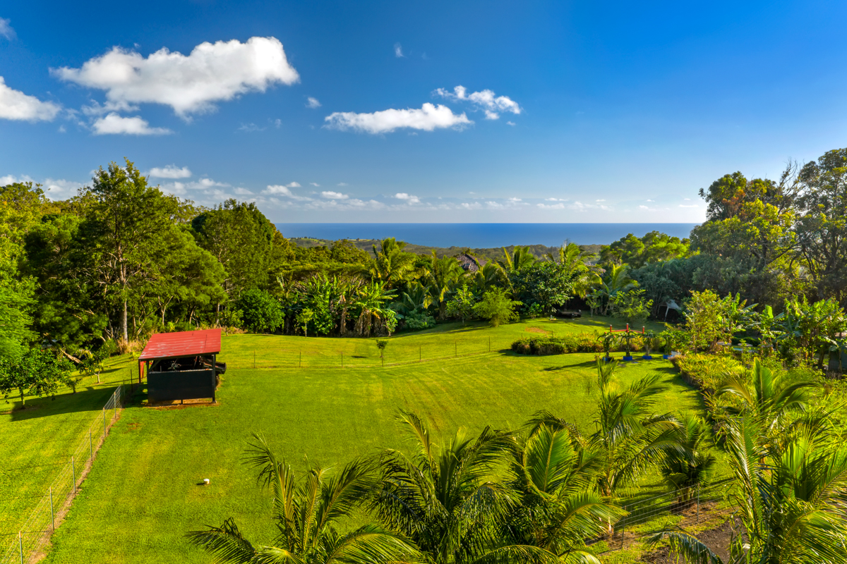 4650 Uha Road Lawai, HI 96765 - Photo 11 of 17 a view of yard with swimming pool