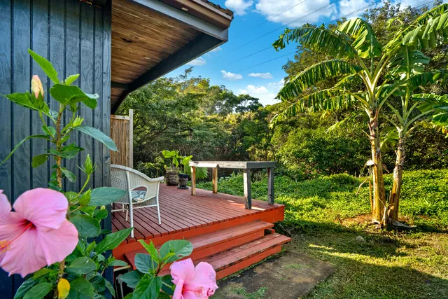 a view of backyard with plants and outdoor seating