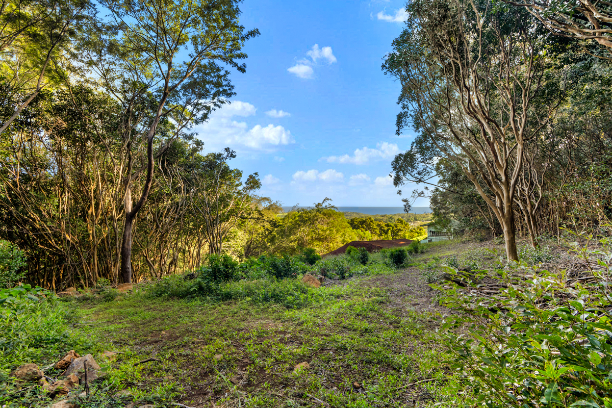 4650 Uha Road Lawai, HI 96765 - Photo 14 of 17 a view of a yard with large trees