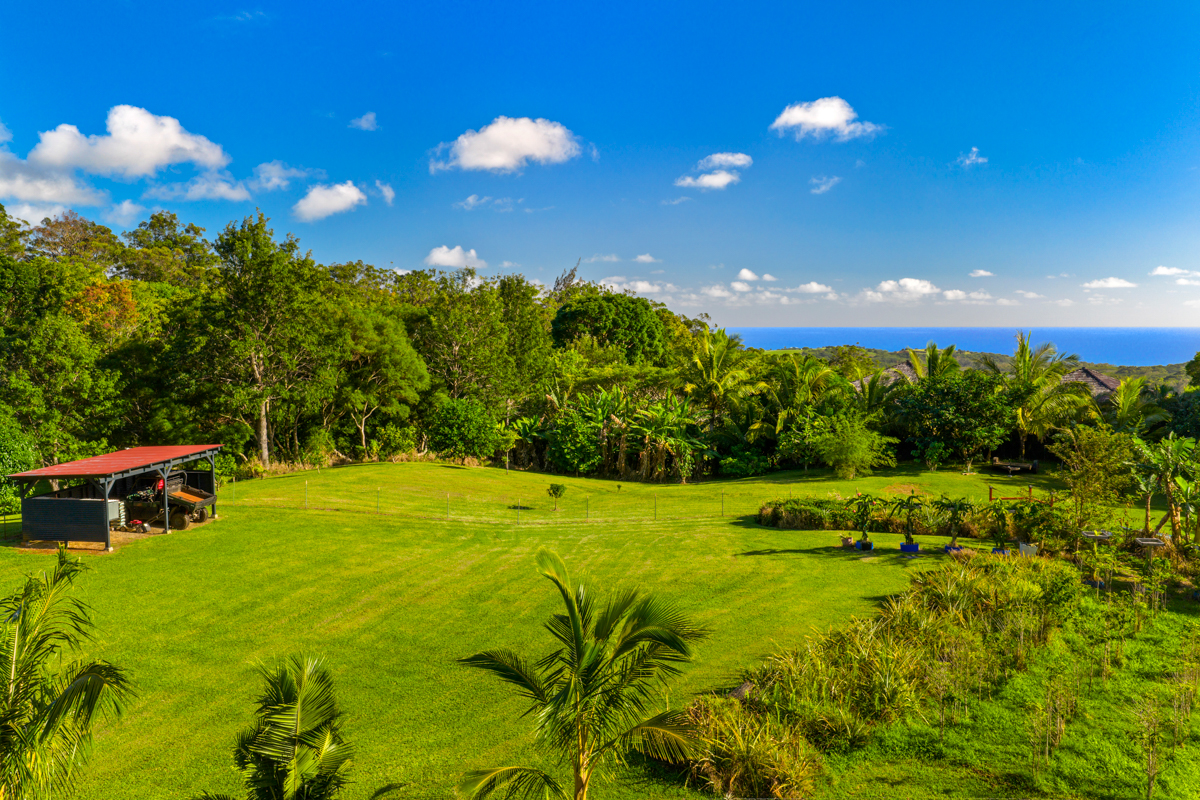 4650 Uha Road Lawai, HI 96765 - Photo 2 of 17 a view of an outdoor space and yard