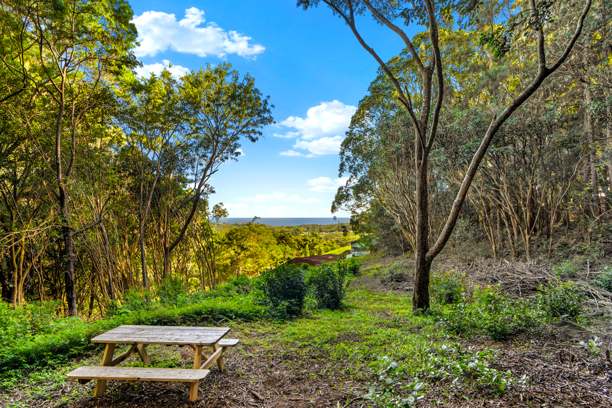 4650 Uha Road Lawai, HI 96765 - Photo 3 of 17 a view of a yard with plants and large trees