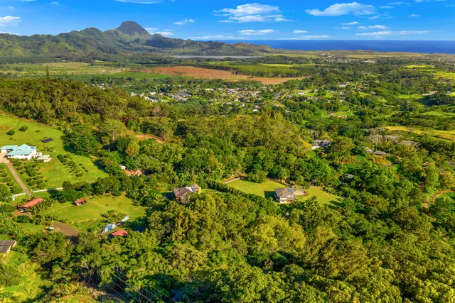 a view of an aerial view of residential houses with outdoor space and trees