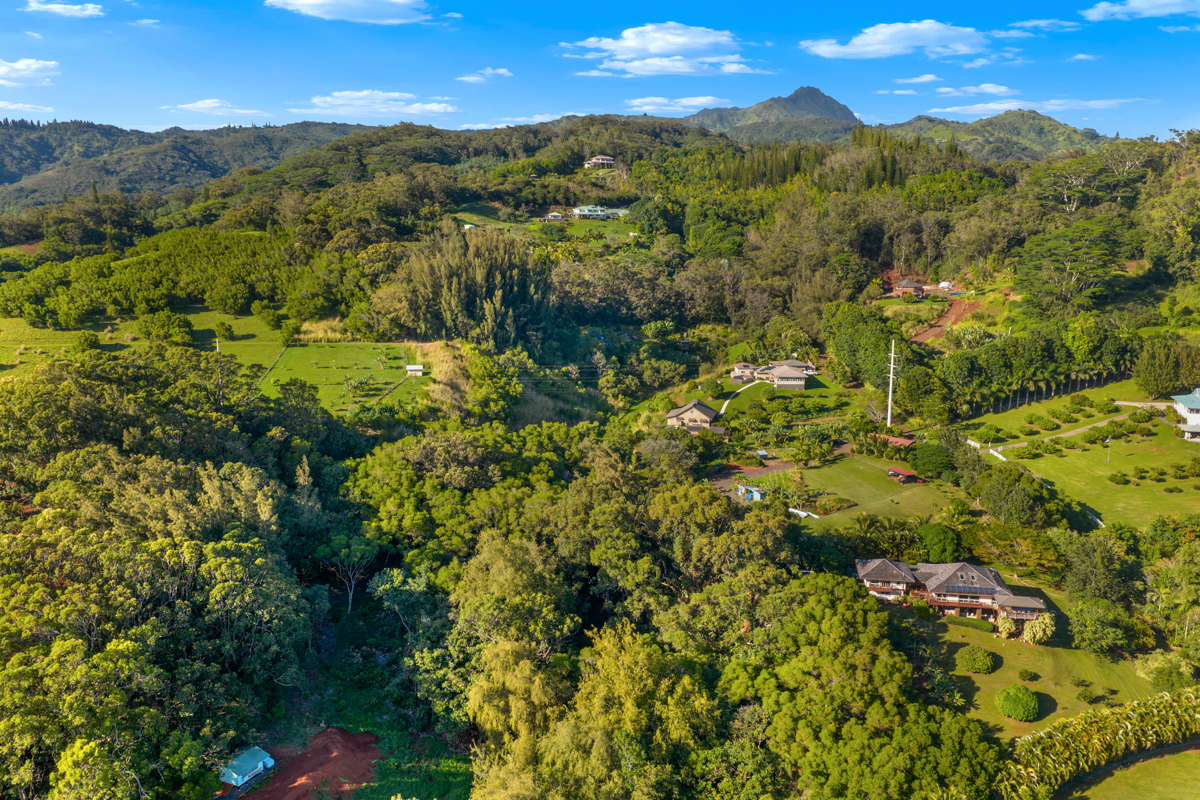 4650 Uha Road Lawai, HI 96765 - Photo 7 of 17 a view of a city